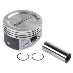 Volvo Piston Kit (STD) (Code C) 30731508